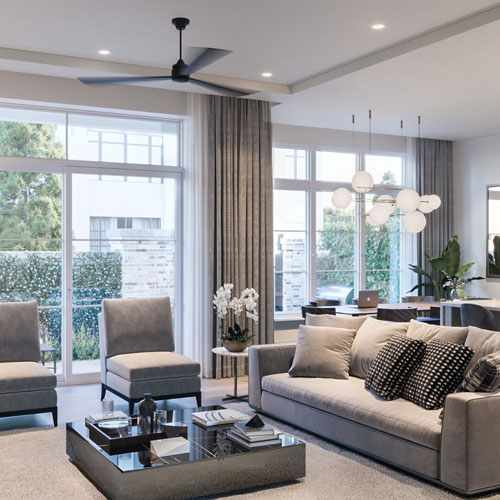 Light-filled Wellington living and dining spaces